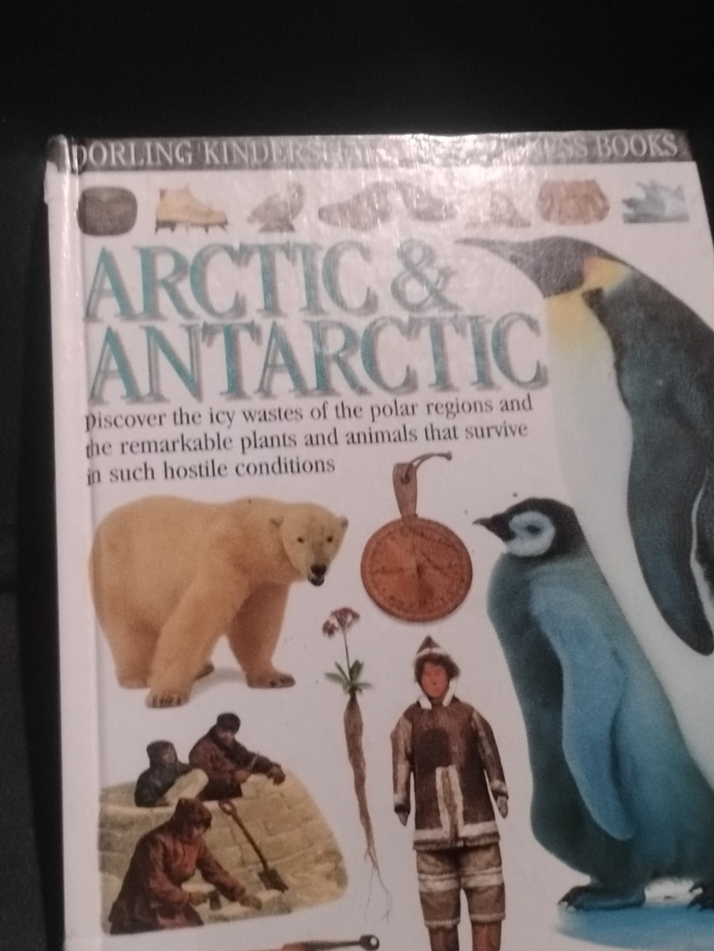 ARCTIC & ANTARCTIC Illustrated Hardcover Book - White/Blue Cover